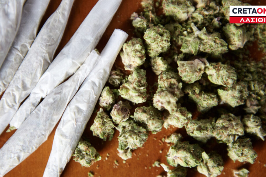 Χασίς κάνναβη Λασίθι