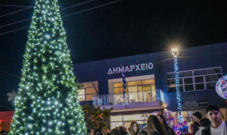 Χριστουγεννιάτικο δέντρο Αρκαλοχώρι