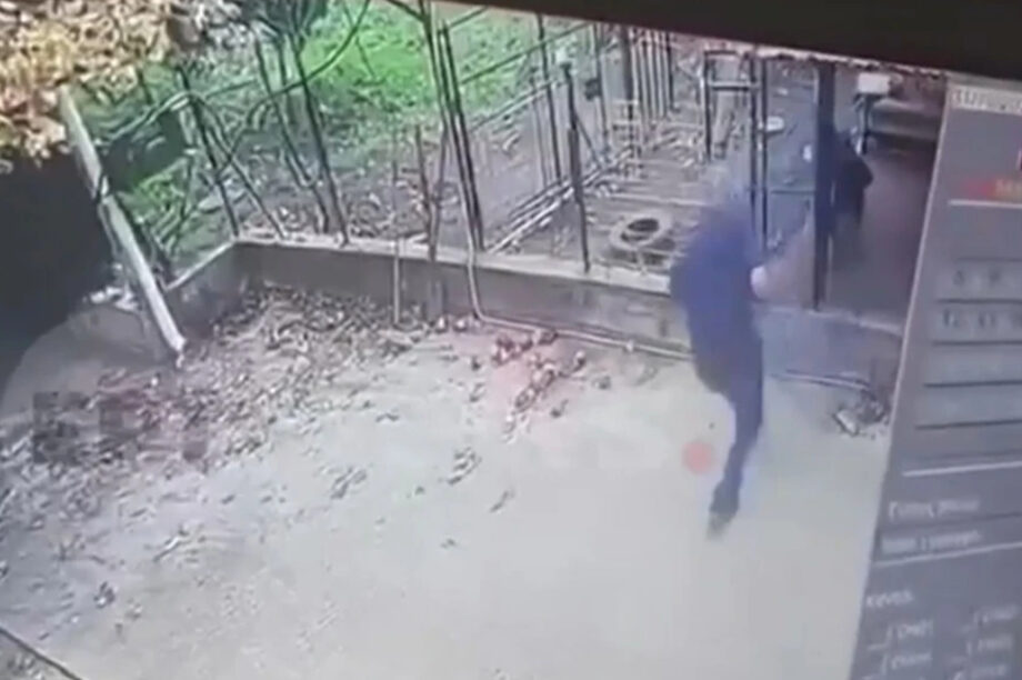 σκύλος ροτβάιλερ επίθεση