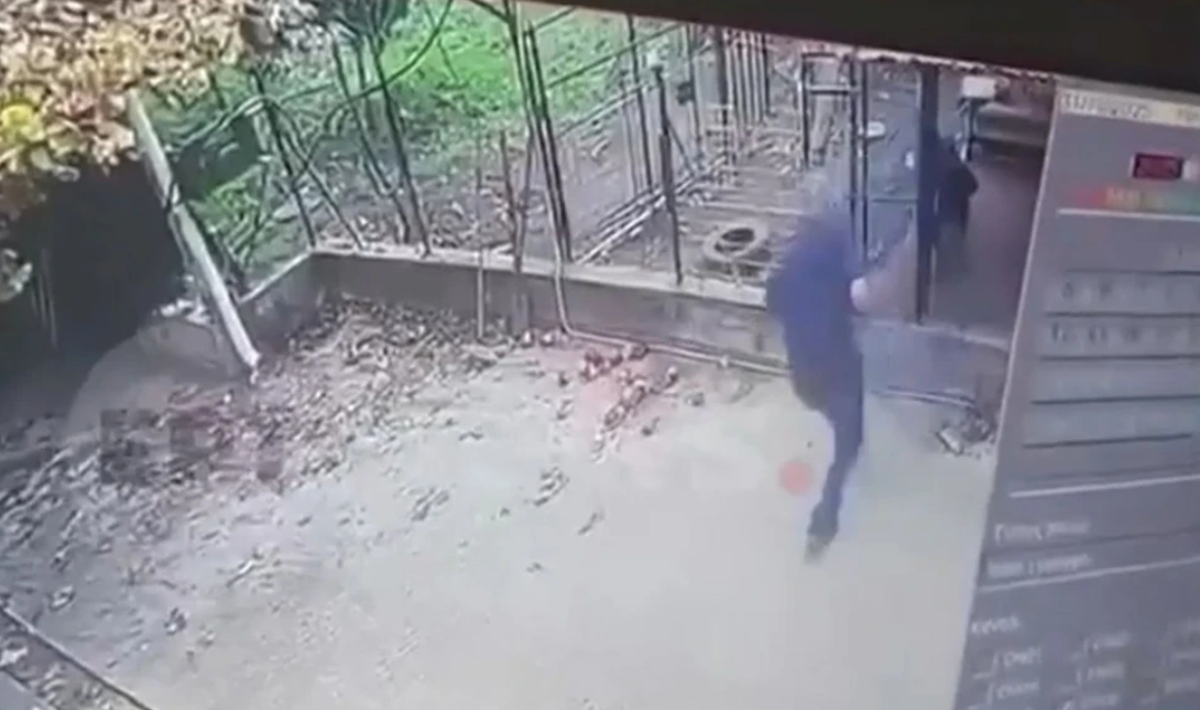 Μάχη για τη ζωή του δίνει 76χρονος που κατασπαράχτηκε από το ροτβάιλερ του – Σοκάρει το βίντεο της επίθεσης