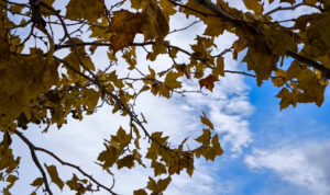 Ανοιξιάτικος και σήμερα Σάββατο (22/11) ο καιρός στην Κρήτη με νοτιάδες και 25αρια