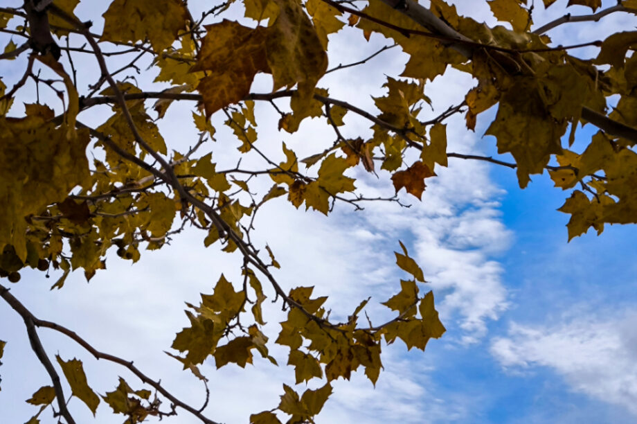 Καιρός συννεφιά