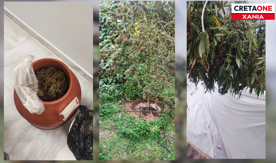 Χασίς Χανιά