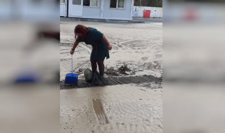 3ο Δημοτικό Αλικαρνασσού