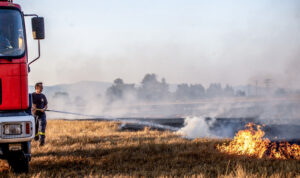 Κρήτη: Έβαλαν φωτιά για να κάψουν χόρτα και κατέληξαν με χειροπέδες