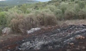 Έγκλημα στη Βοιωτία: Δύο ημέρες δεμένος πισθάγκωνα ήταν μέσα στο αυτοκίνητο το απανθρακωμένο πτώμα