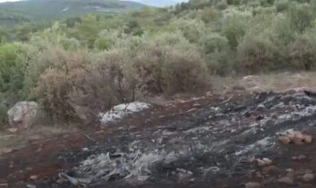 Βοιωτία απανθρακωμένος