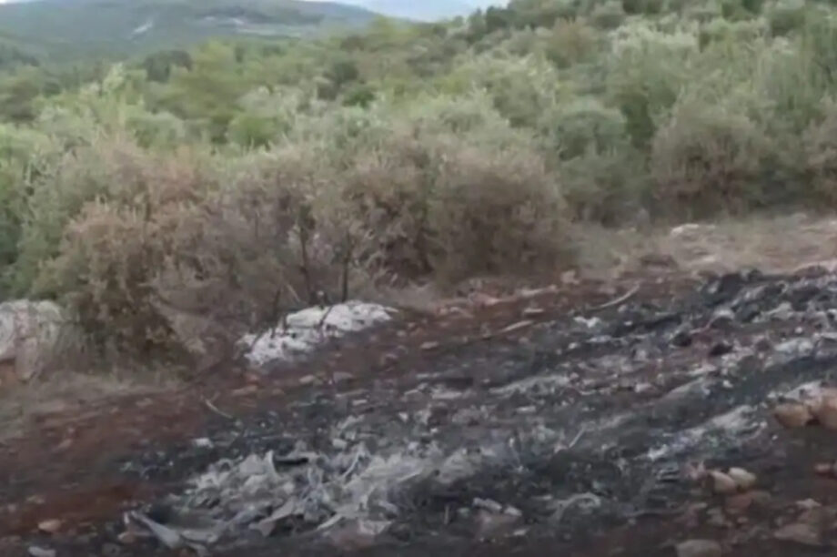 Βοιωτία απανθρακωμένος