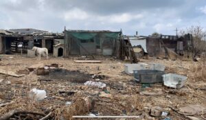 Ηράκλειο: Κολαστήριο ζώων στα παλιά Σφαγεία της Νέας Αλικαρνασσού – Δείτε φωτογραφίες