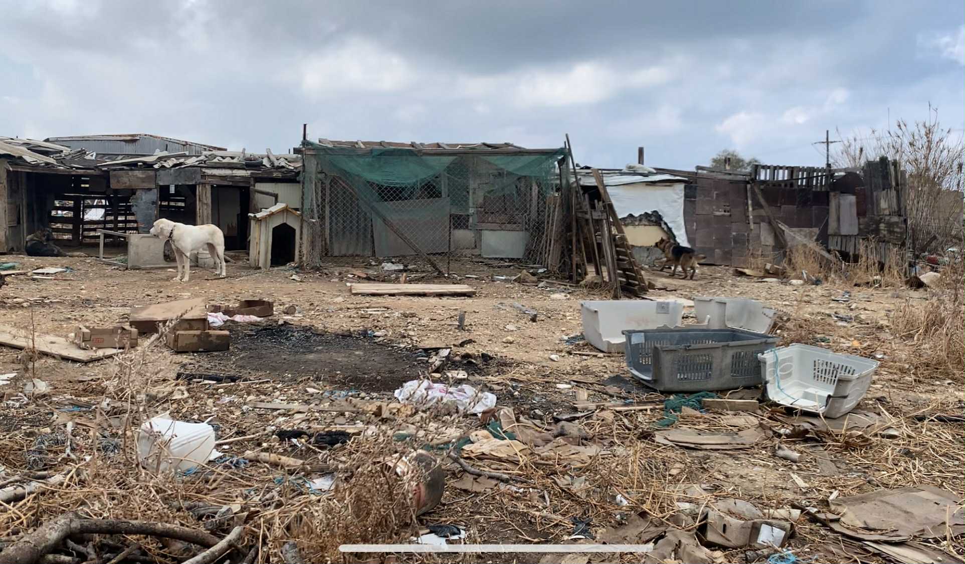 Ηράκλειο: Κολαστήριο ζώων στα παλιά Σφαγεία της Νέας Αλικαρνασσού – Δείτε φωτογραφίες