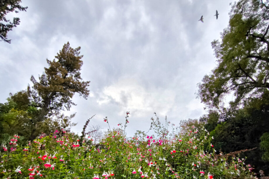 Συννεφιά καιρός