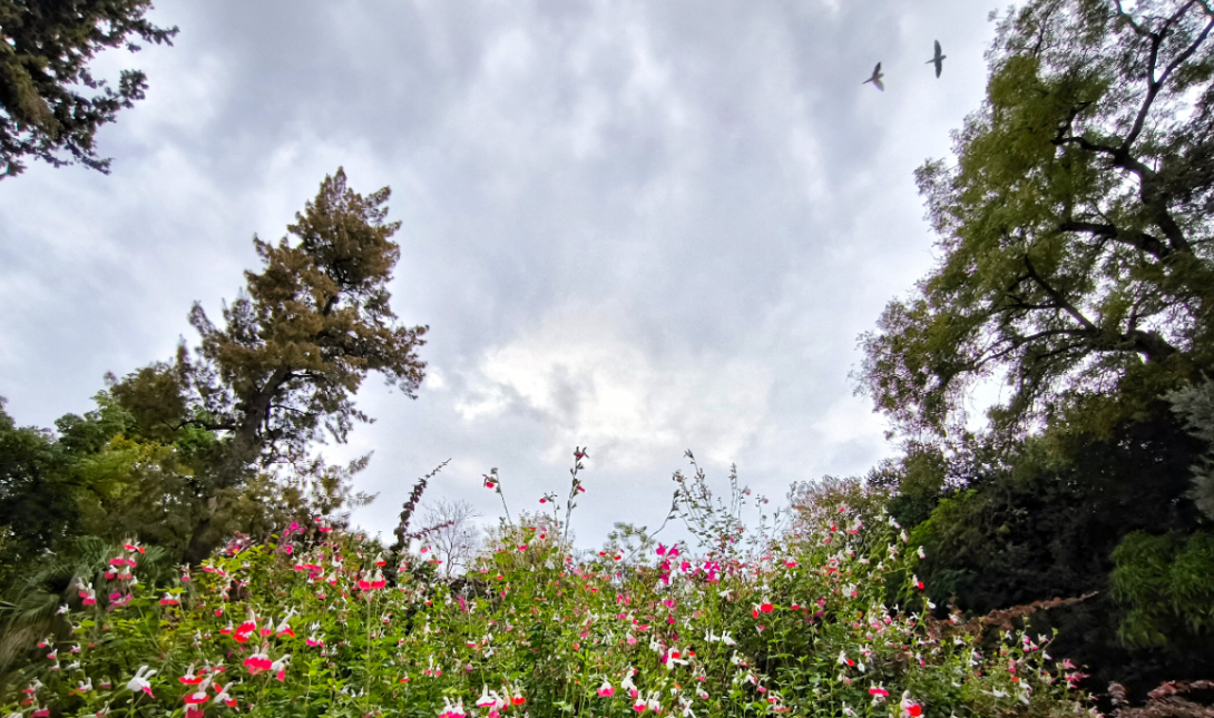 Συννεφιά καιρός