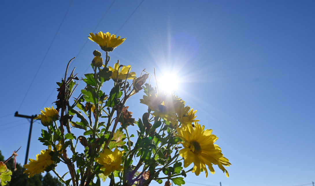 Επιμένει ο ανοιξιάτικος καιρός στην Κρήτη: Νοτιάδες και 25άρια και σήμερα Τρίτη (18/11) στο νησί
