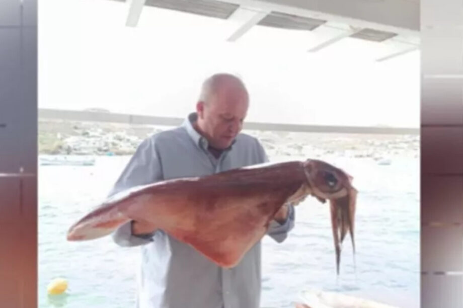 Καλαμάρι γίγας