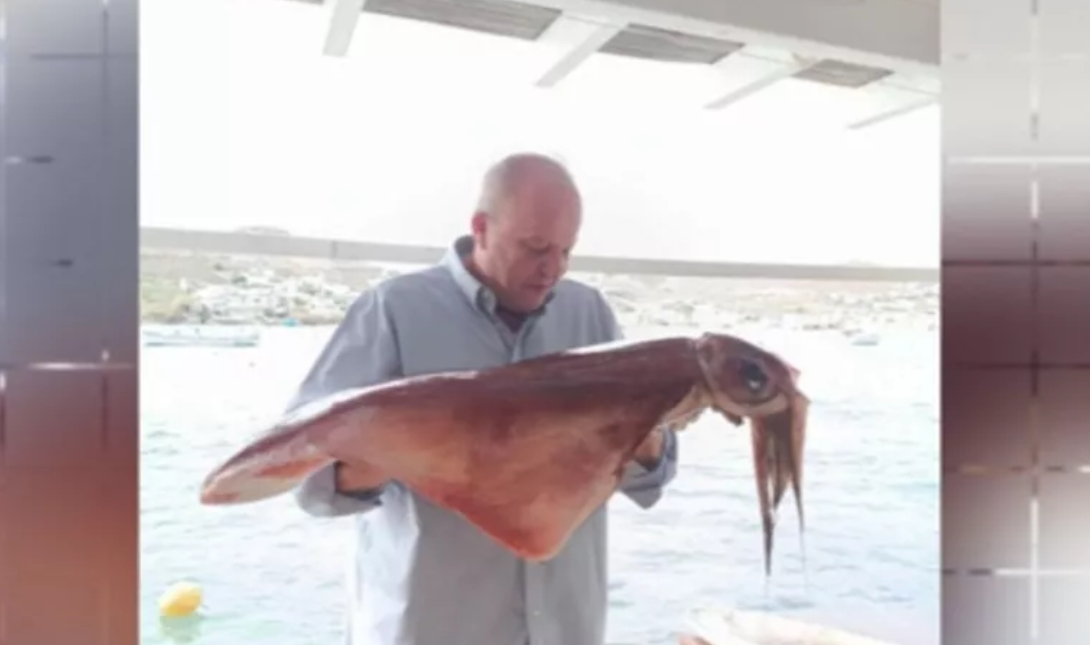 Καλαμάρι γίγας