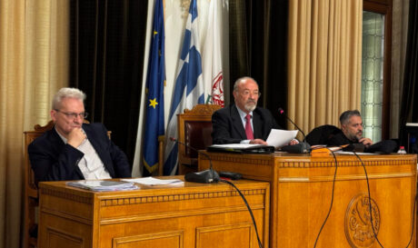 Καλοκαιρινός Ρυακιωτάκης