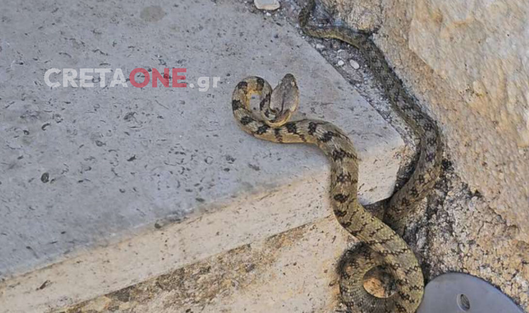 Οχιά Ενετικά τείχη