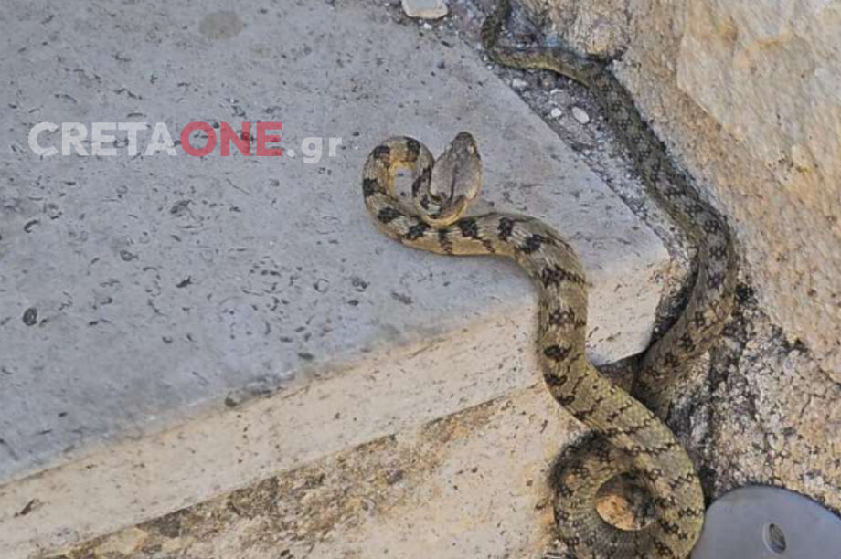 Οχιά Ενετικά τείχη