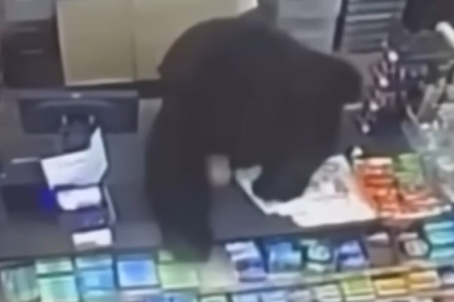 αρκουδα ΗΠΑ