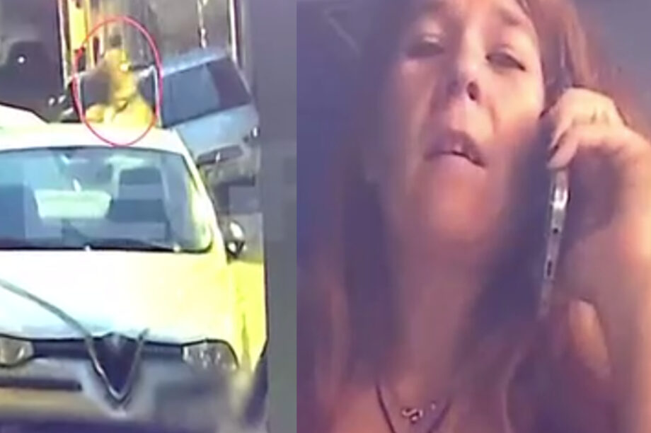 δρακος αλιμος