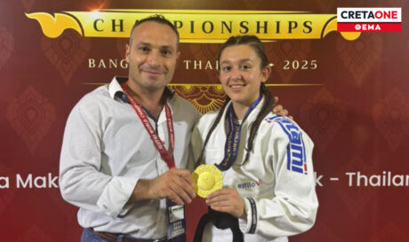 Βερυκοκίδη Ζαϊμάκης Θέμα