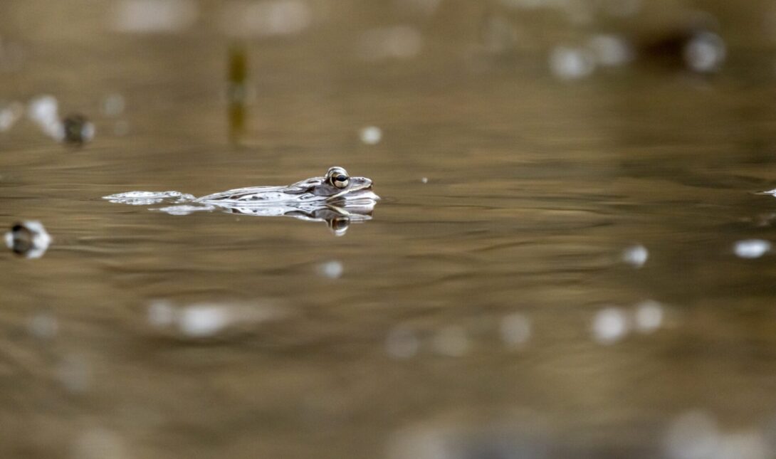 λύματα μολυσμένα νερά