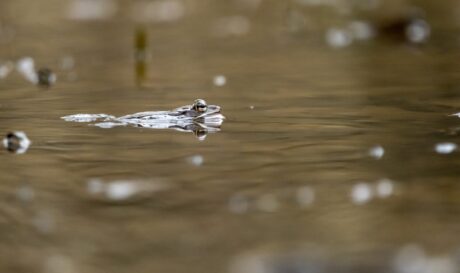 λύματα μολυσμένα νερά