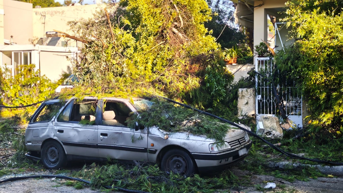 Έπεσαν δέντρα από το μπουρίνι στην Κηφισιά – Ζημιές σε μάντρες σπιτιών, κολόνες της ΔΕΗ και σταθμευμένα ΙΧ, δείτε εικόνες