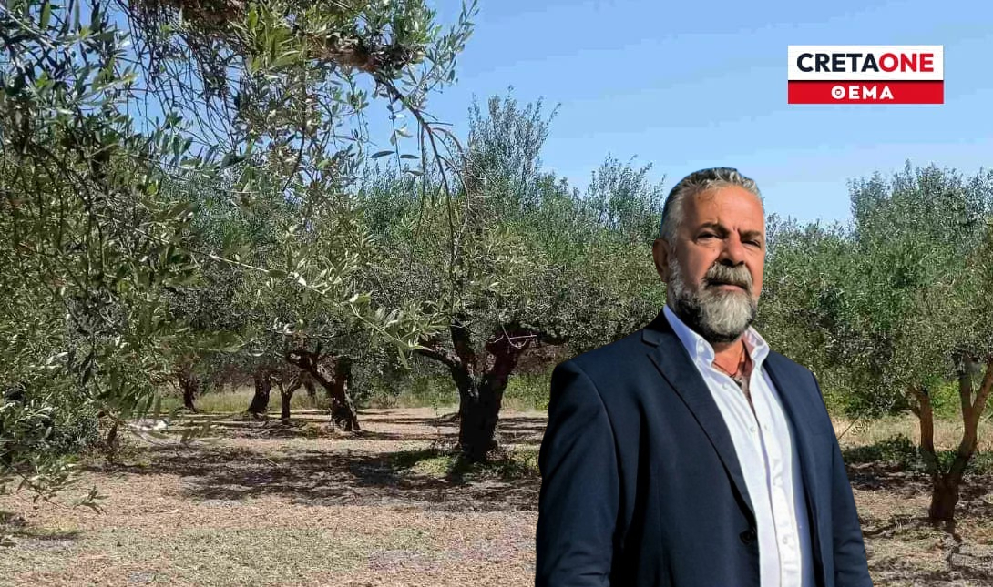 Κρήτη: Στα «τάρταρα» η φετινή παραγωγή ελαιολάδου – «Έρχεται η χειρότερη χρονιά των τελευταίων 50 ετών»