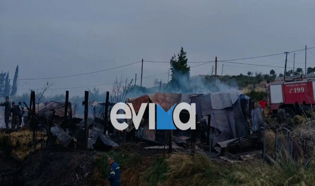 Τραγωδία στη Λίμνη Εύβοιας: Μαντρί έγινε στάχτη – Κάηκαν ζωντανά πρόβατα