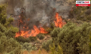 Κρήτη: Τσουχτερό πρόστιμο σε άνδρα για παράνομη καύση!