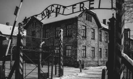 auschwitz