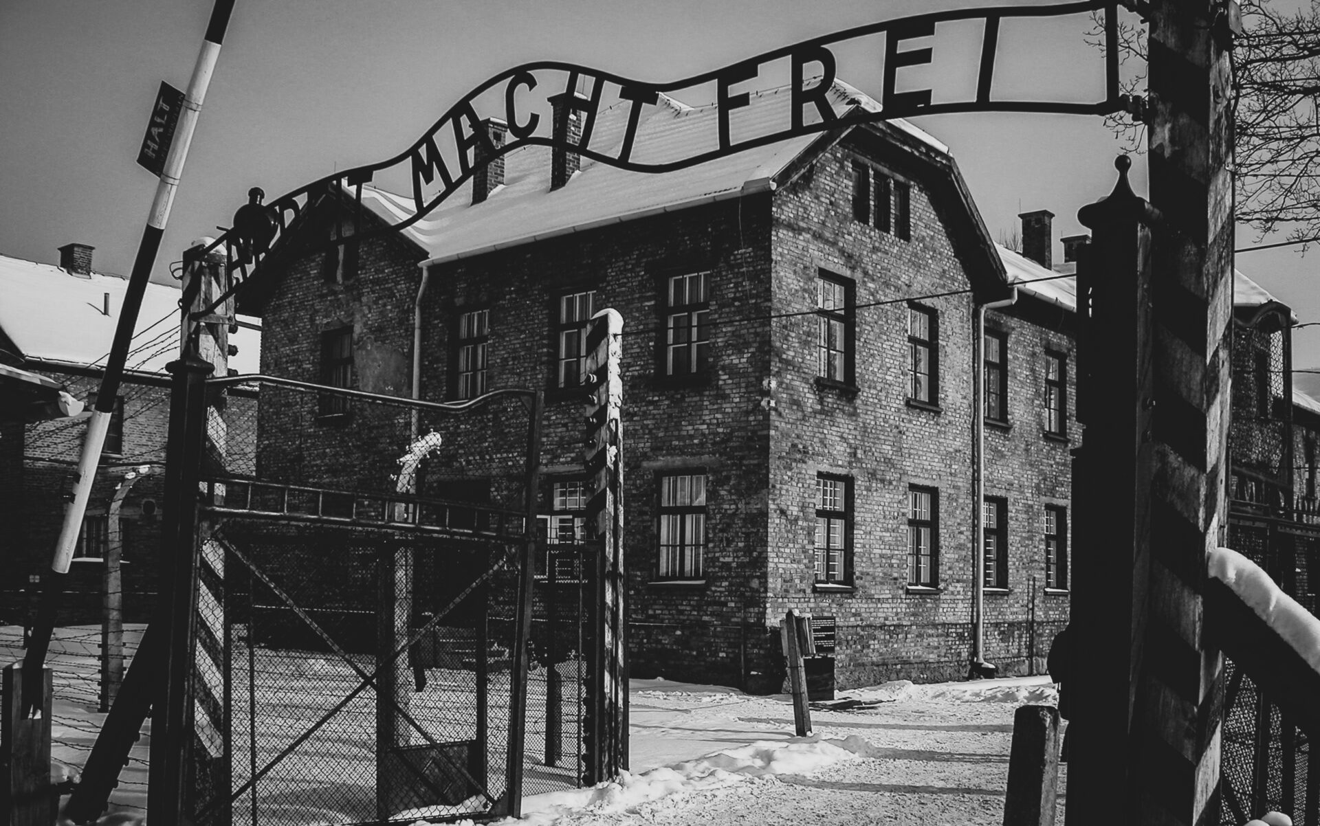 auschwitz
