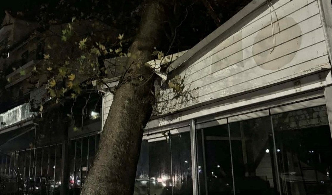 Παρ΄ολίγον τραγωδία στην Ηγουμενίτσα: Δέντρο καταπλάκωσε… κατάστημα εστίασης (Φώτο)