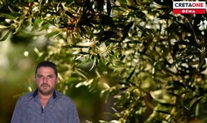 Στο λιομάζωμα με τον λογιστή τους οι ελαιοπαραγωγοί – Τι ισχύει τελικά με το ψηφιακό δελτίο αποστολής;