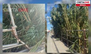 Ηράκλειο: Ένα πεζοδρόμιο που δεν χωράει… ούτε πεζό – Θα το ζήλευε και ο… Αμαζόνιος (φωτογραφίες)