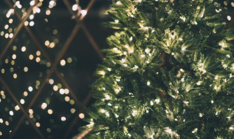 Χριστουγεννιάτικο δέντρο