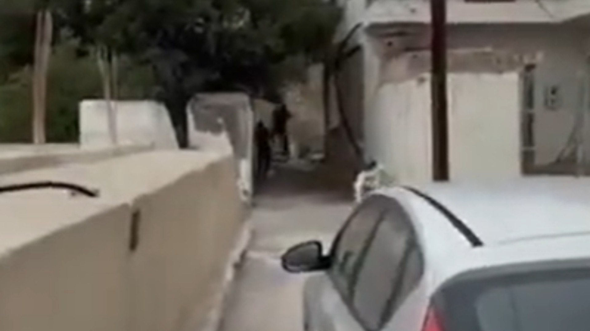 Ο γαμπρός του Καργάκη σε ρόλο «ελεύθερου σκοπευτή» – Ποιος έδωσε το βίντεο στην ΕΛ.ΑΣ;