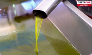 Λασίθι: Μειωμένη η φετινή παραγωγή του ελαιολάδου – Που οφείλεται