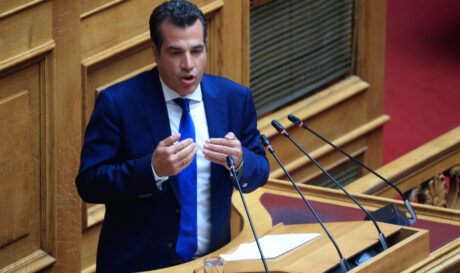 Θάνος Πλεύρης