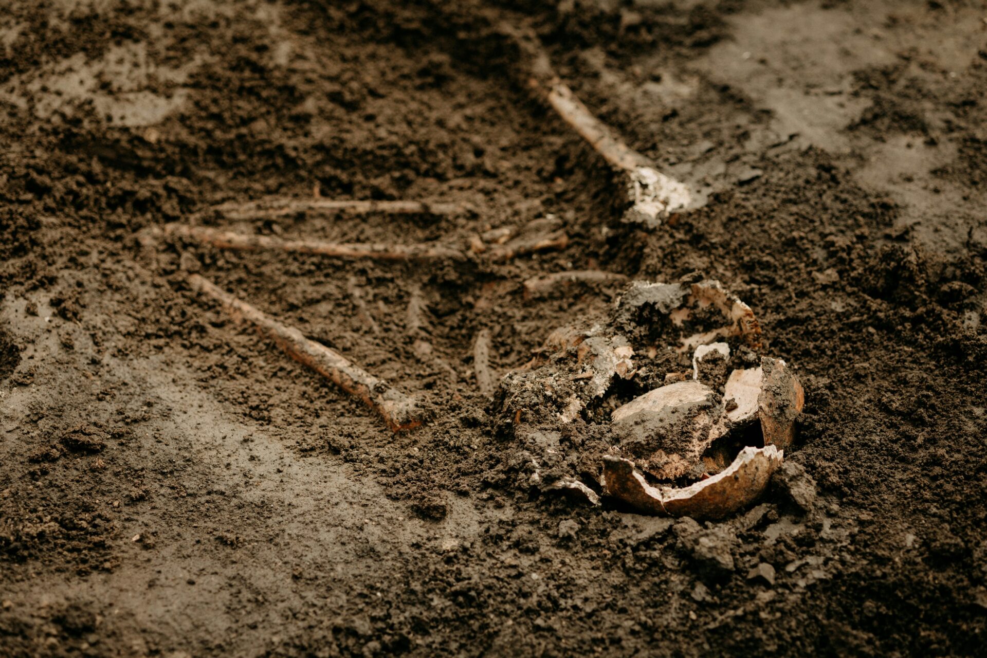 skeleton remains