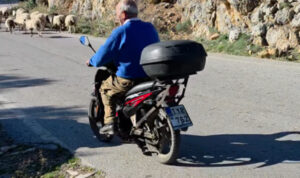 Κρήτη: Βοσκός βγάζει τα πρόβατα με το μηχανάκι – Δείτε το βίντεο