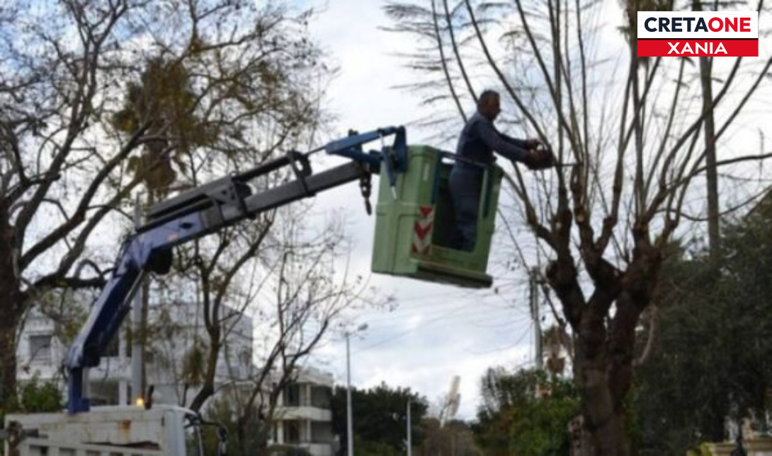 Χανιά: Εργασίες κλαδέματος σήμερα Παρασκευή 28/11 στο κέντρο της πόλης