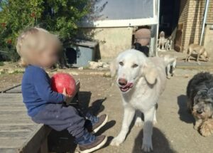 Αυτό είναι το 2χρονο παιδάκι που σκοτώθηκε από επίθεση σκύλου (φωτογραφία)