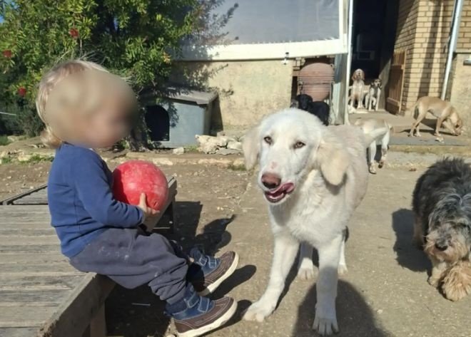 Αυτό είναι το 2χρονο παιδάκι που σκοτώθηκε από επίθεση σκύλου (φωτογραφία)