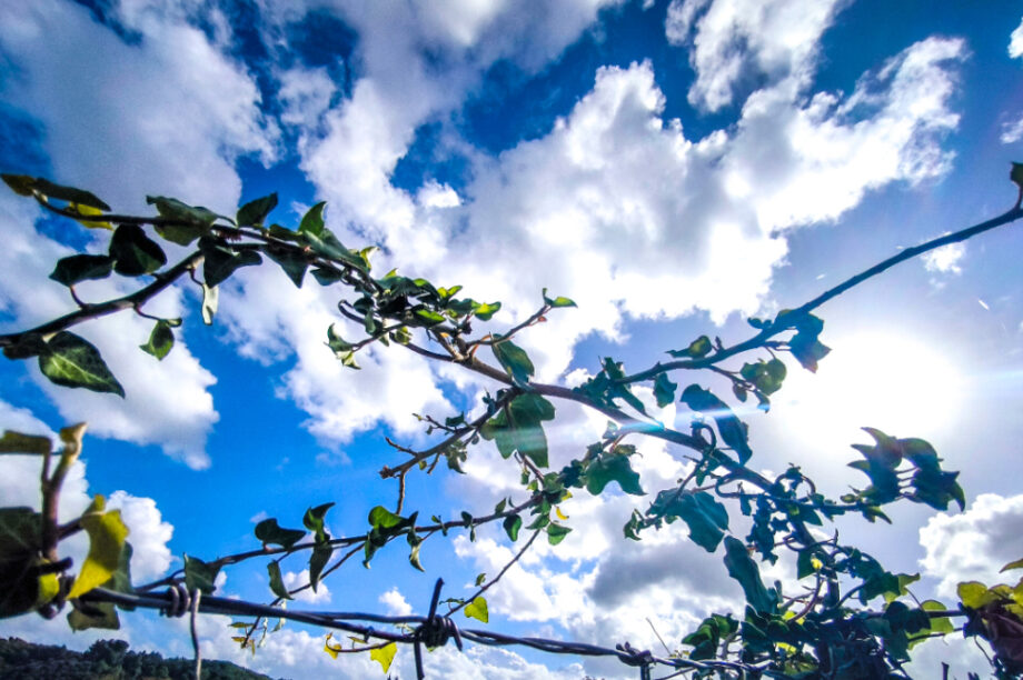 Σύννεφα συννεφιά καιρός