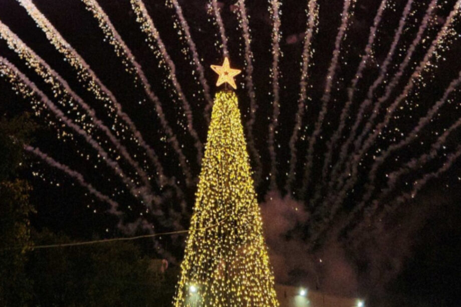 Χριστουγεννιάτικο δέντρο Μαλεβίζι