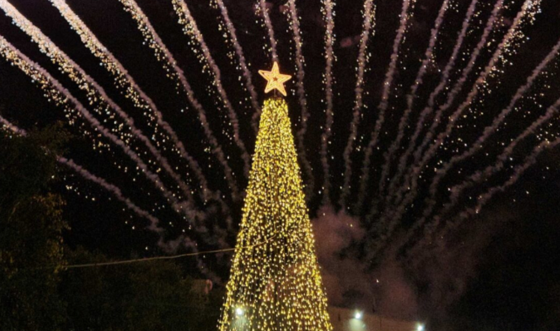 Χριστουγεννιάτικο δέντρο Μαλεβίζι