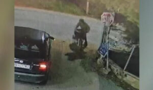 Σοβαρό τροχαίο στο Ηράκλειο: Λαμπραντόρ θυσιάστηκε για να σώσει το αφεντικό του