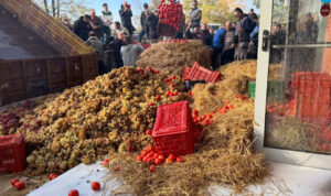 Καβάλα: Αγρότες πέταξαν ντομάτες, σταφύλια και άχυρα έξω από την Περιφέρεια (βίντεο)